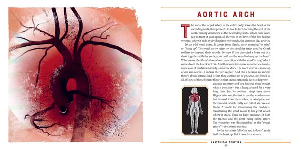 Produktbild: Anatomical Oddities