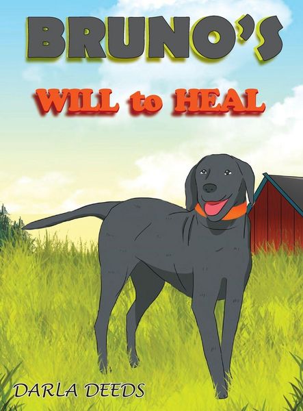 Produktbild: Bruno's Will to Heal