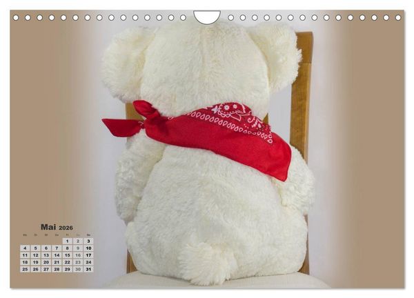 Produktbild: Teddys, wollen wir Kalender anschauen? (Wandkalender 2026 DIN A4 quer), CALVENDO Monatskalender