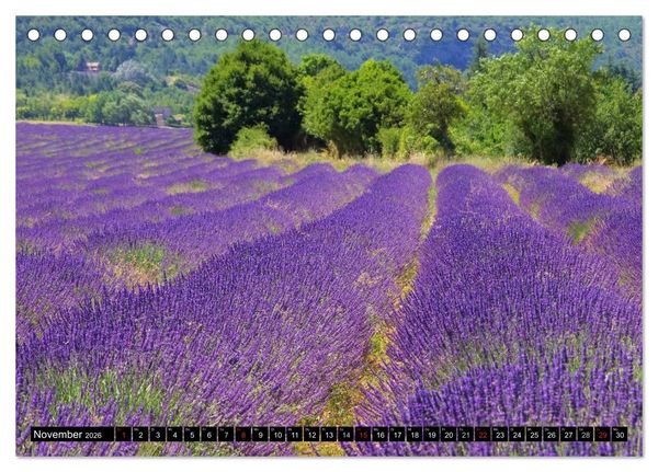 Produktbild: Lavendel (Tischkalender 2026 DIN A5 quer), CALVENDO Monatskalender
