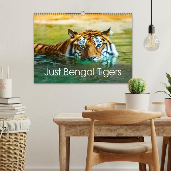 Produktbild: Just Bengal Tigers (Wall Calendar 2026 DIN A3 landscape), CALVENDO 12 Month Wall Calendar