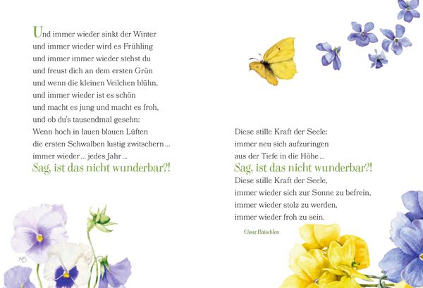 Produktbild: Sch&ouml;ne Gr&uuml;&szlig;e: So viele Gr&uuml;nde zum L&auml;cheln (M. Bastin)
