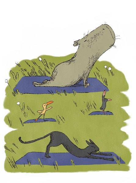 Produktbild: Die Weisheit des Capybara