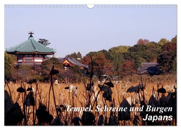 Produktbild: Tempel, Schreine und Burgen Japans (Wandkalender 2026 DIN A3 quer), CALVENDO Monatskalender