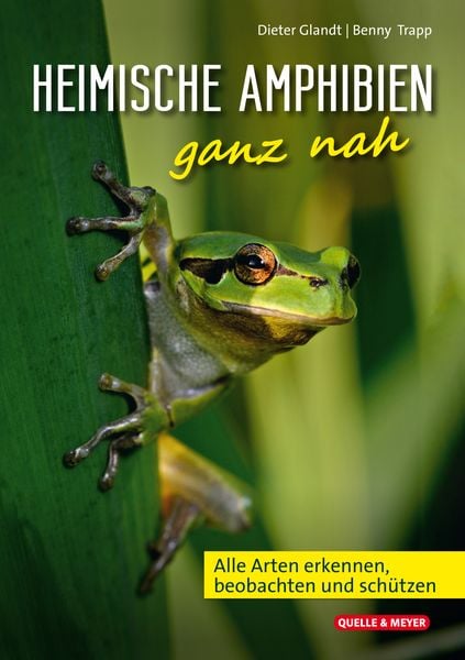Produktbild: Heimische Amphibien ganz nah
