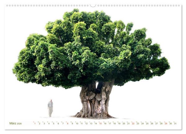 Produktbild: B&Auml;UME - wie gemalt (hochwertiger Premium Wandkalender 2026 DIN A2 quer), Kunstdruck in Hochglanz