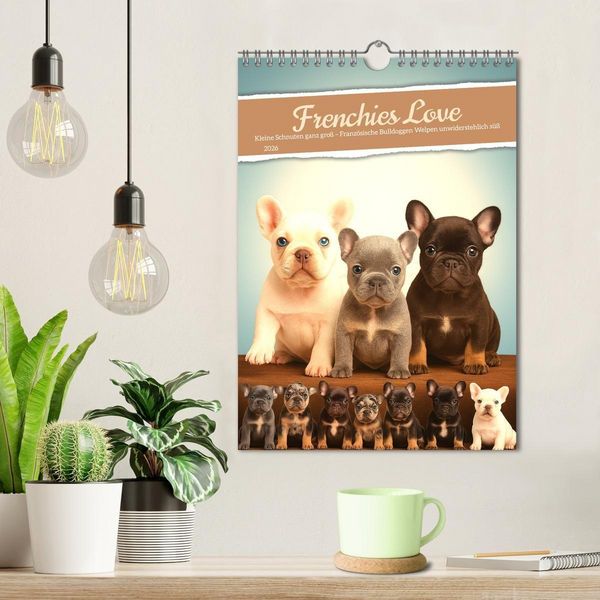 Produktbild: Frenchies Love &ndash; Kleine Schnuten ganz gro&szlig; - Franz&ouml;sische Bulldoggen Welpen unwiderstehlich s&uuml;&szlig; (Wandkalender 2026 DIN A4 hoch), CALVENDO Monatskalender