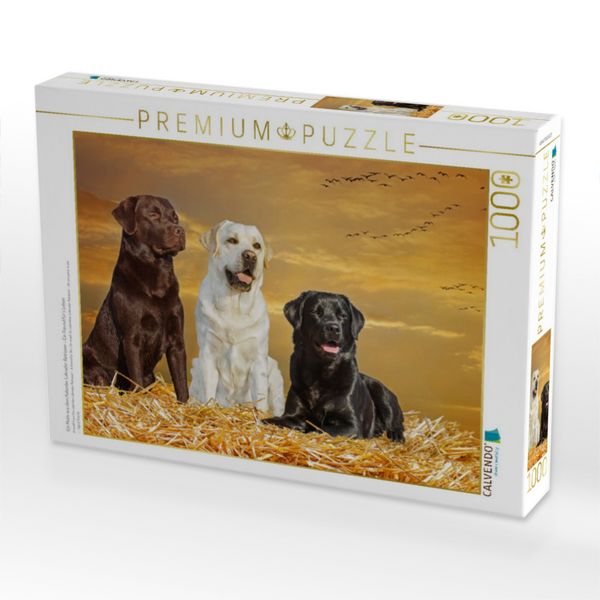 Produktbild: CALVENDO Puzzle Ein Motiv aus dem Kalender Labrador Retriever - Ein Freund f&uuml;r&acute;s Leben | 1000 Teile Lege-Gr&ouml;&szlig;e 64x48cm Foto-Puzzle f&uuml;r gl&uuml;ckliche Stun
