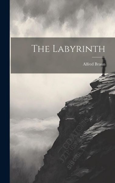 Produktbild: The Labyrinth