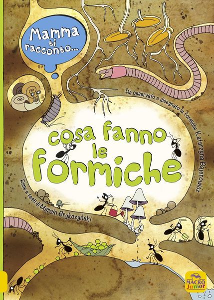 Produktbild: Mamma ti racconto... cosa fanno le formiche