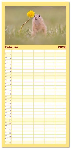 Produktbild: Familienplaner 2026 - Zauberhafte Ziesel mit 5 Spalten (Wandkalender, 21 x 45 cm) CALVENDO