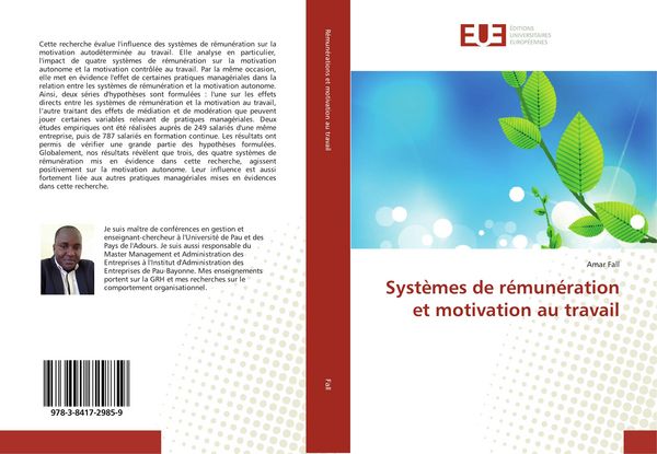 Produktbild: Syst&egrave;mes de r&eacute;mun&eacute;ration et motivation au travail