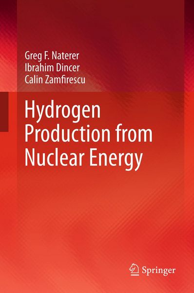 Produktbild: Hydrogen Production from Nuclear Energy