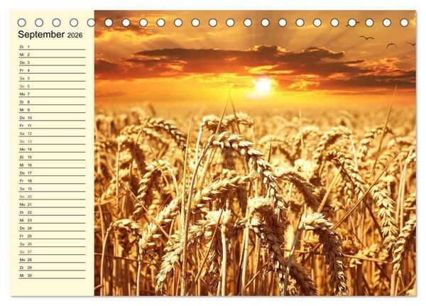Produktbild: Bier. Die Kunst des Bierbrauens. Impressionen (Tischkalender 2026 DIN A5 quer), CALVENDO Monatskalender