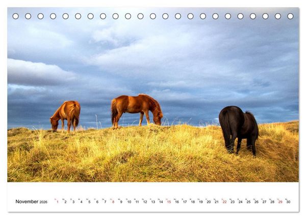 Produktbild: ISLAND Atemberaubende Natur aus Feuer und Eis (Tischkalender 2026 DIN A5 quer), CALVENDO Monatskalender