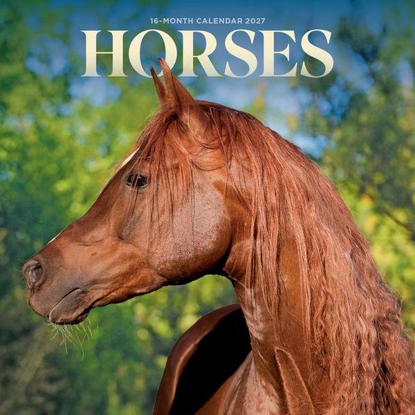 Produktbild: Horses 2027 Mini Wall Calendar