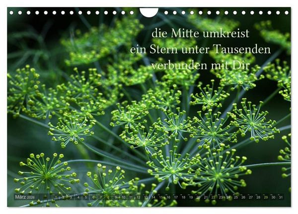 Produktbild: Haiku - Gedichte in 17 Silben (Wandkalender 2026 DIN A4 quer), CALVENDO Monatskalender