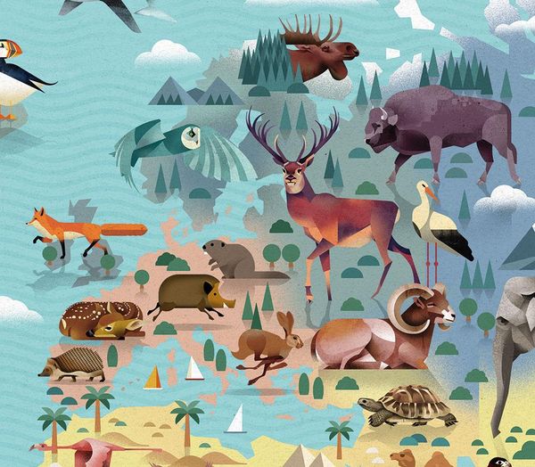 Produktbild: Die Welt der Tiere