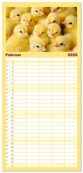 Produktbild: Familienplaner 2026 - Kuschelblicke mit 5 Spalten (Wandkalender, 21 x 45 cm) CALVENDO