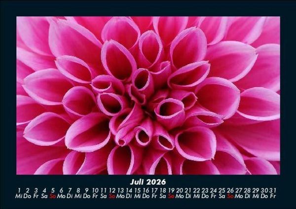 Produktbild: Blumentr&auml;ume 2026 Fotokalender DIN A5