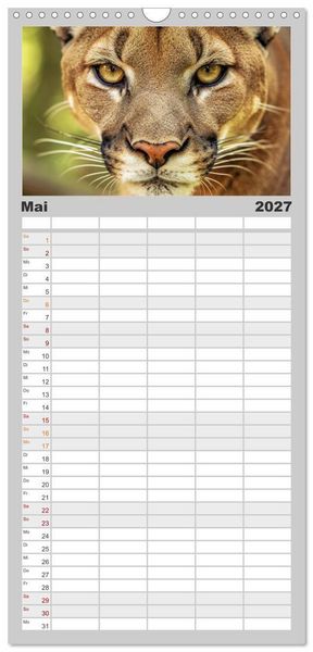 Produktbild: Familienplaner 2027 - Die Augen der Wildnis mit 5 Spalten (Wandkalender, 21 x 45 cm) CALVENDO