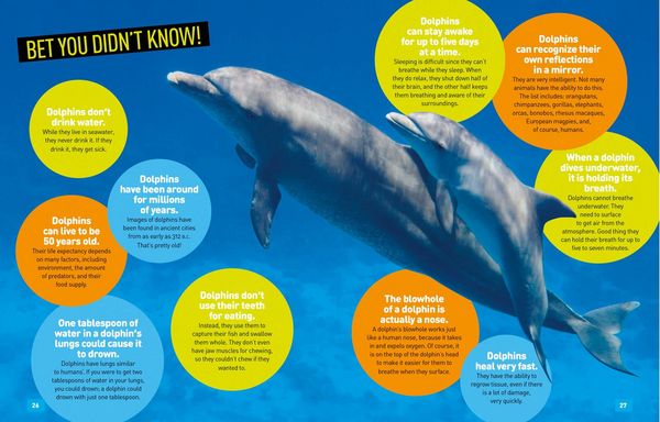 Produktbild: Absolute Expert: Dolphins