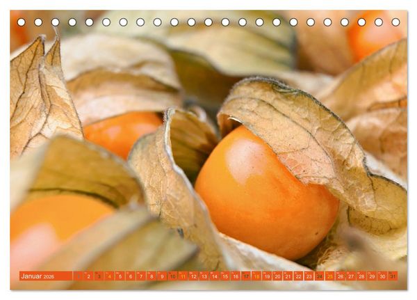 Produktbild: ORANGE - Gem&uuml;se und Obst -Vitaminreich (Tischkalender 2026 DIN A5 quer), CALVENDO Monatskalender