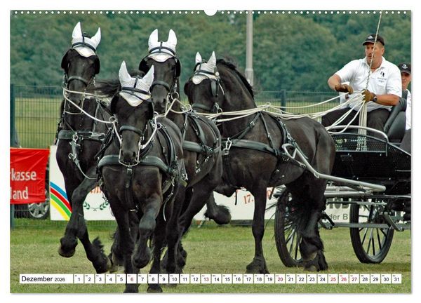 Produktbild: Viersp&auml;nner Herausforderung Fahrsport (Wandkalender 2026 DIN A2 quer), CALVENDO Monatskalender