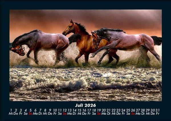 Produktbild: Die Welt der Pferde 2026 Fotokalender DIN A5