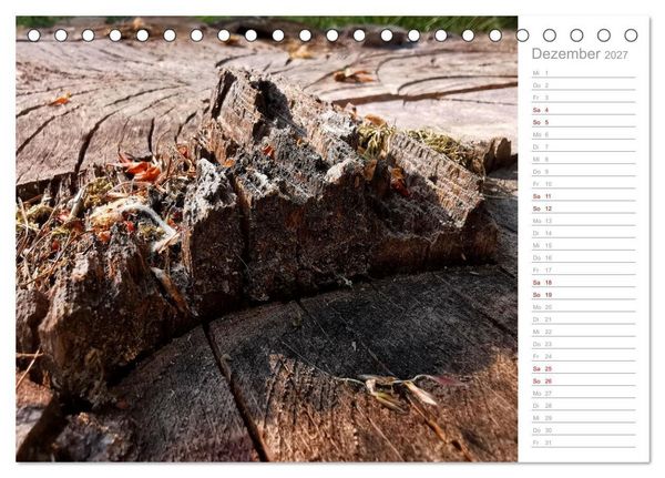 Produktbild: Abstrakte Umwelt (Tischkalender 2027 DIN A5 quer), CALVENDO Monatskalender