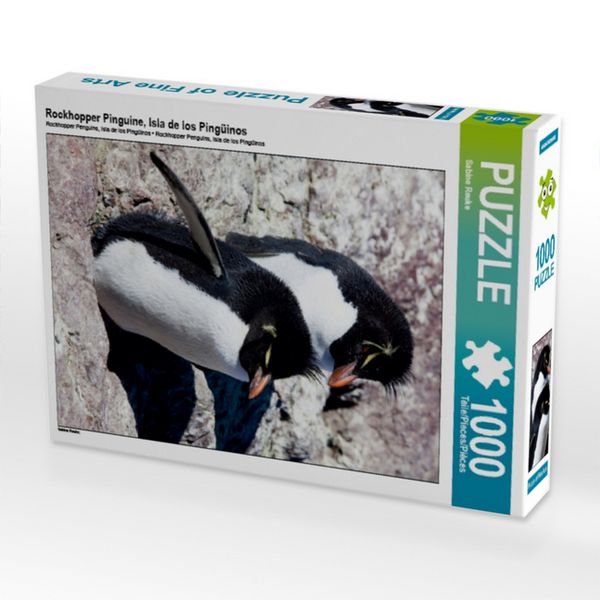 CALVENDO Puzzle Rockhopper Pinguine, Isla de los Pingüinos | 1000 Teile Lege-Größe 64x48cm Foto-Puzzle für glückliche Stunden