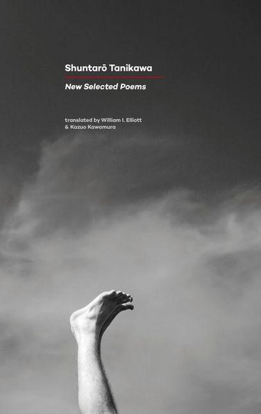 Produktbild: New Selected Poems