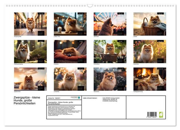 Produktbild: Zwergspitze - kleine Hunde, gro&szlig;e Pers&ouml;nlichkeiten (Wandkalender 2026 DIN A2 quer), CALVENDO Monatskalender