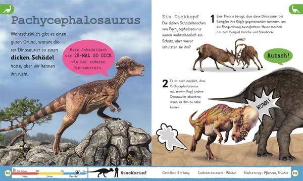 Wissen für Vorschulkids. Was weißt du über Dinos?