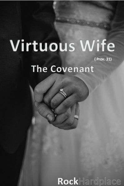 Produktbild: Virtuous Wife: The Covenant