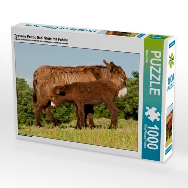 CALVENDO Puzzle Typvolle Poitou Esel Stute mit Fohlen | 1000 Teile Lege-Größe 64 × 48 cm Foto-Puzzle für glückliche Stunden