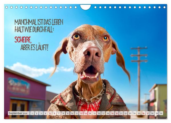 Produktbild: ULTRAKRASS Knallharte Hunde (Wandkalender 2026 DIN A4 quer), CALVENDO Monatskalender