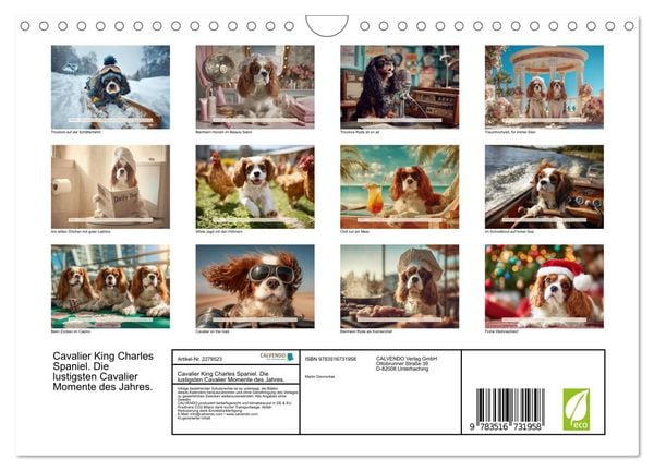 Produktbild: Cavalier King Charles Spaniel. Die lustigsten Cavalier Momente des Jahres. (Wandkalender 2026 DIN A4 quer), CALVENDO Monatskalender
