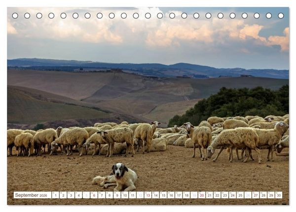 Produktbild: Toskana - Goldene Farben des toskanischen Herbstes (Tischkalender 2026 DIN A5 quer), CALVENDO Monatskalender
