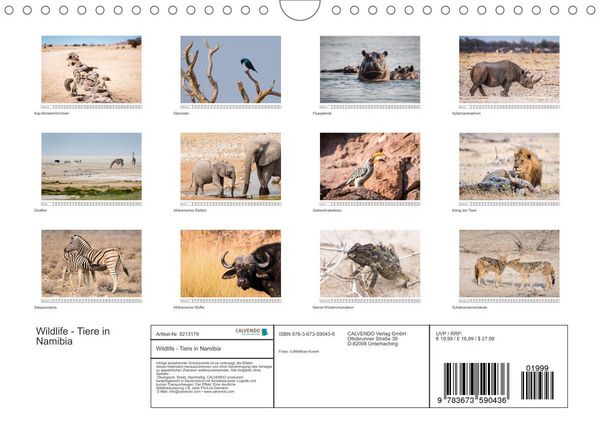 Produktbild: Wildlife - Tiere in Namibia (Wandkalender 2022 DIN A4 quer)