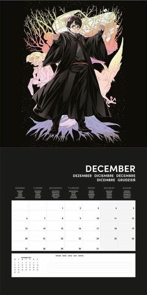 Produktbild: HARRY POTTER (FASHION) 2027