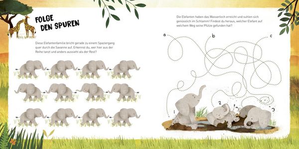 Produktbild: Kleine Tiere werden gro&szlig; - Der Elefant