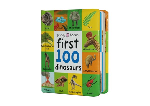Produktbild: First 100 Dinosaurs