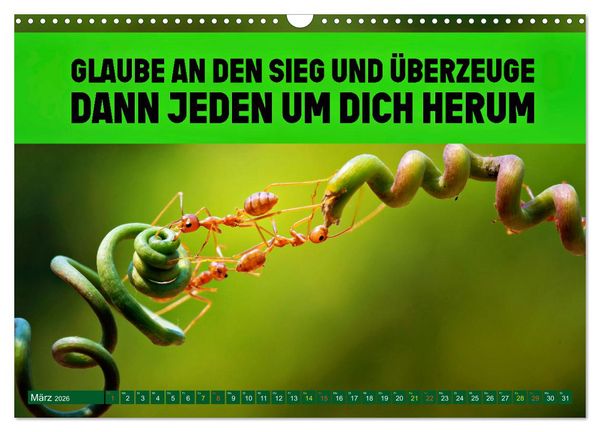 Produktbild: Gemeinsam sind wir stark - motivierende Spr&uuml;che &uuml;ber Teams (Wandkalender 2026 DIN A3 quer), CALVENDO Monatskalender