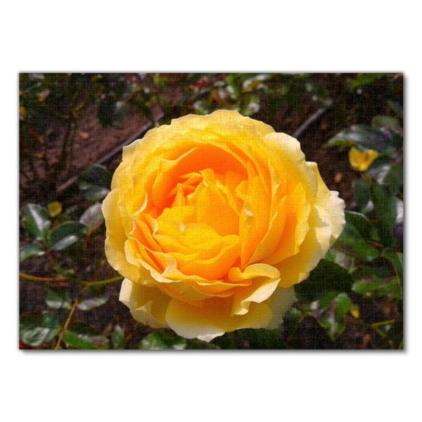 Produktbild: Lais Puzzle Rose 1000 Teile