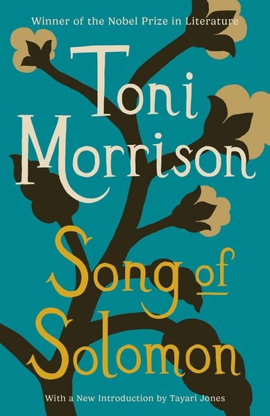 Produktbild: Song of Solomon