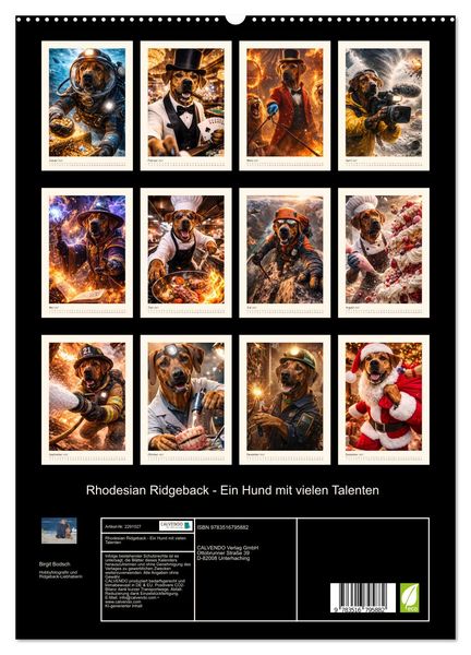 Produktbild: Rhodesian Ridgeback - Ein Hund mit vielen Talenten (hochwertiger Premium Wandkalender 2027 DIN A2 hoch), Kunstdruck in Hochglanz