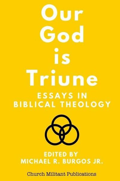 Produktbild: Our God is Triune: Essays in Biblical Theology