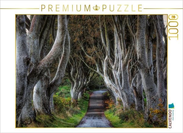 CALVENDO Puzzle Weg des Heeres aus -Game of Thrones- | 1000 Teile Lege-Größe 64x48cm Foto-Puzzle für glückliche Stunden