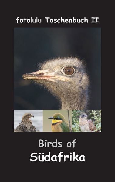 Produktbild: Birds of S&uuml;dafrika
